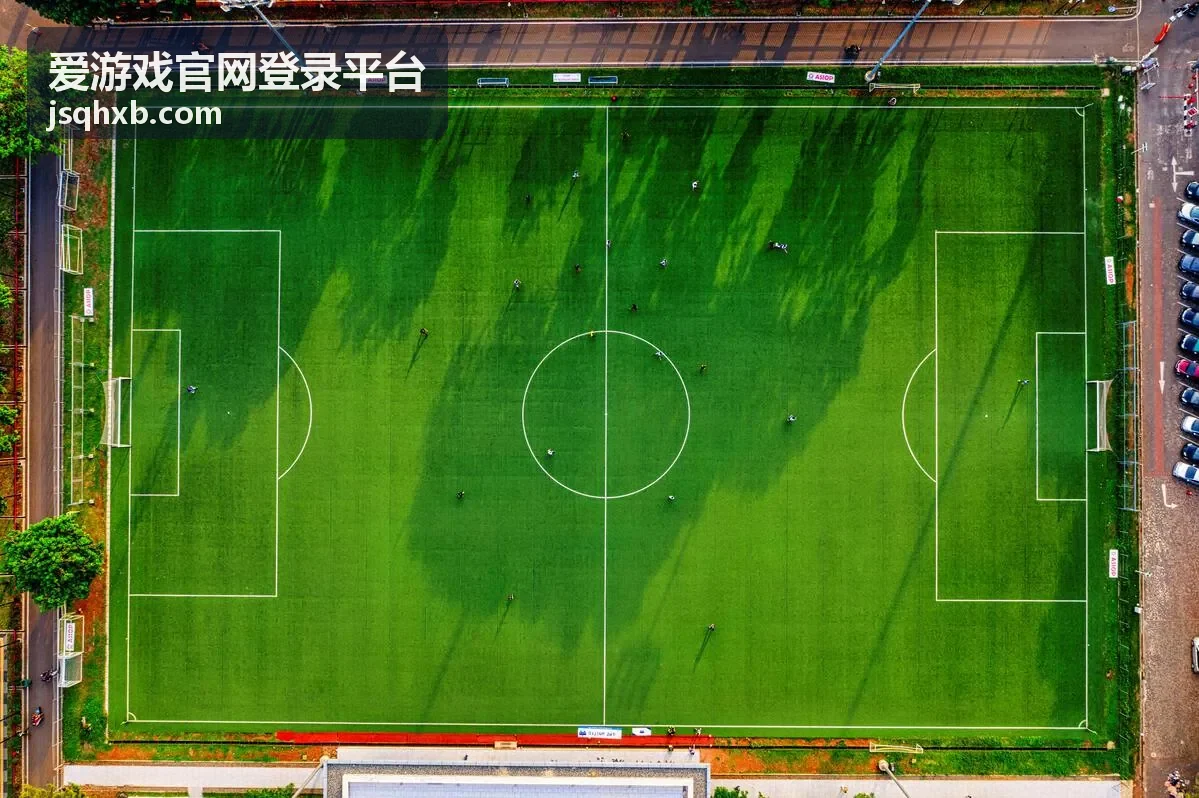 爱游戏官网登录平台账号找回流程场景