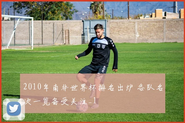 2010年南非世界杯排名出炉 各队名次一览备受关注_1