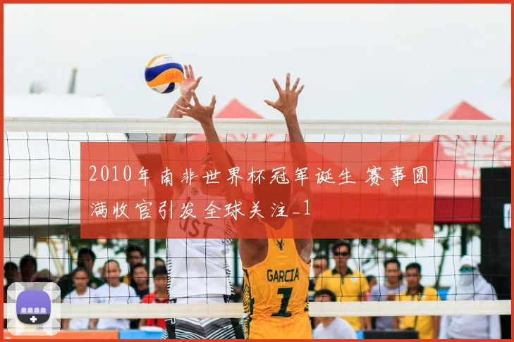 2010年南非世界杯冠军诞生 赛事圆满收官引发全球关注_1