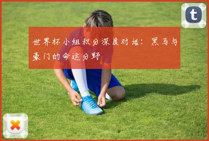 世界杯小组积分深度对话：黑马与豪门的命运分野