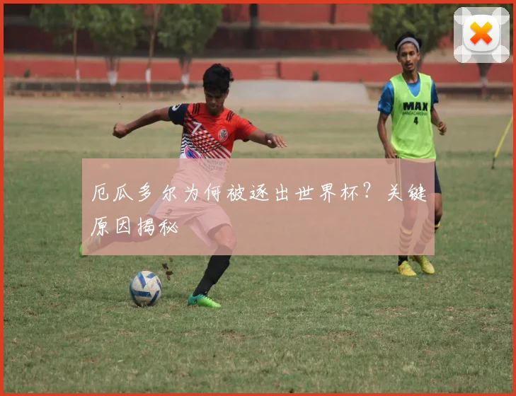 厄瓜多尔为何被逐出世界杯？关键原因揭秘