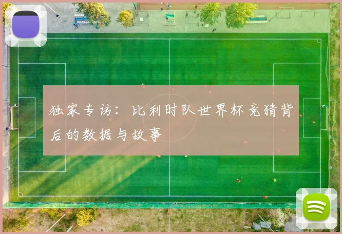 独家专访：比利时队世界杯竞猜背后的数据与故事