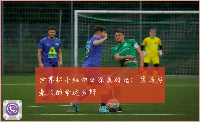 世界杯小组积分深度对话：黑马与豪门的命运分野